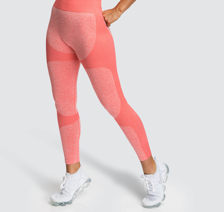 Seamless Hips Moisture Wicking Leggings