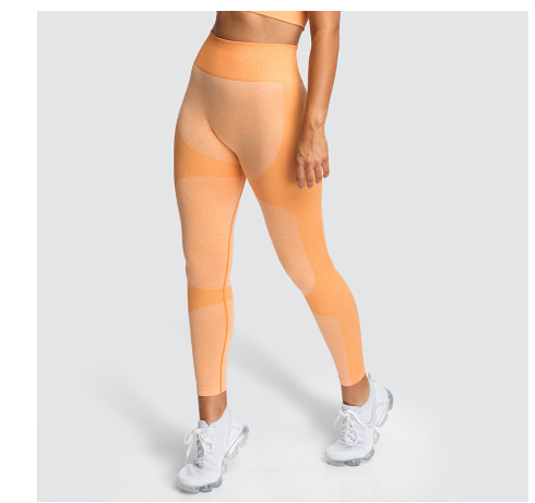 Seamless Hips Moisture Wicking Leggings